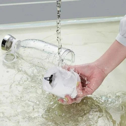 Electric Mini Juicer